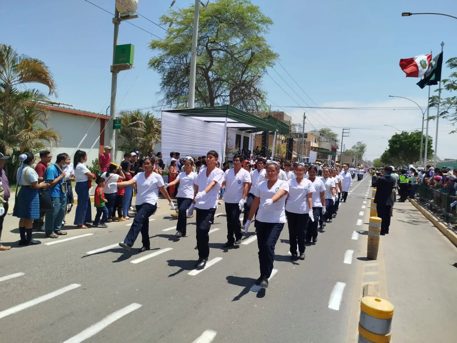 Imagen 29